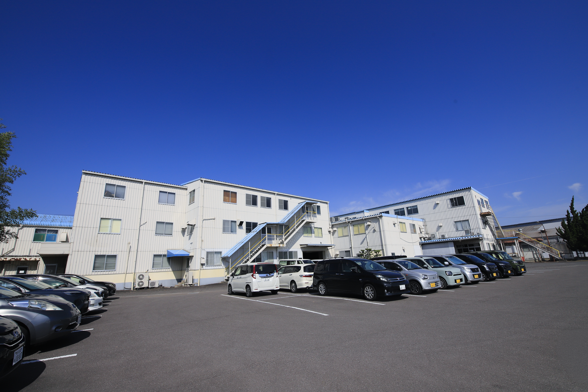 安全・高品質な転写マークを世界水準で
